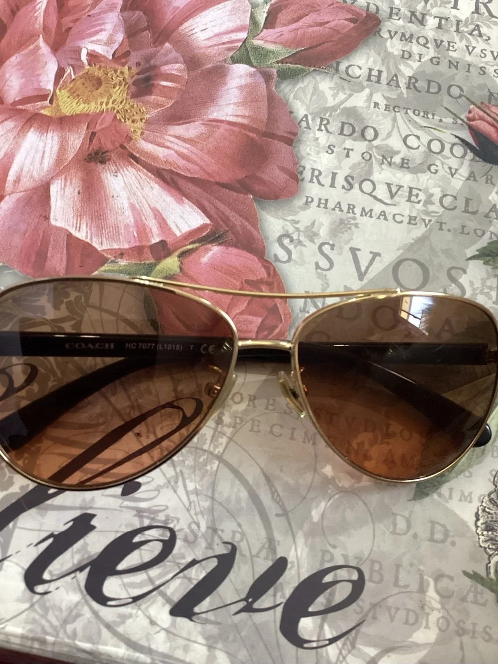 Coach Women's Brown Aviator Sunglasses